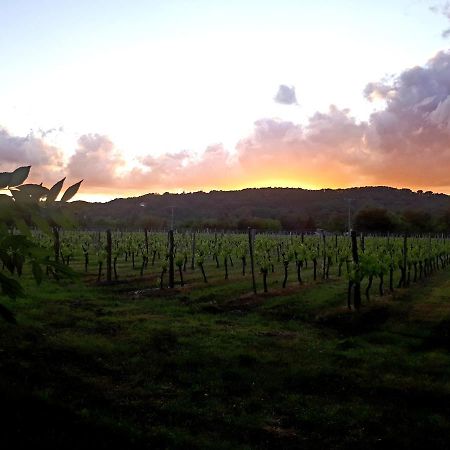 La Carreterie - Les Gites Pineuilh Exteriör bild